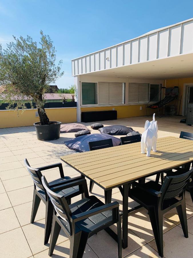 La Terrasse Du Parc Apartment Marckolsheim Exterior foto